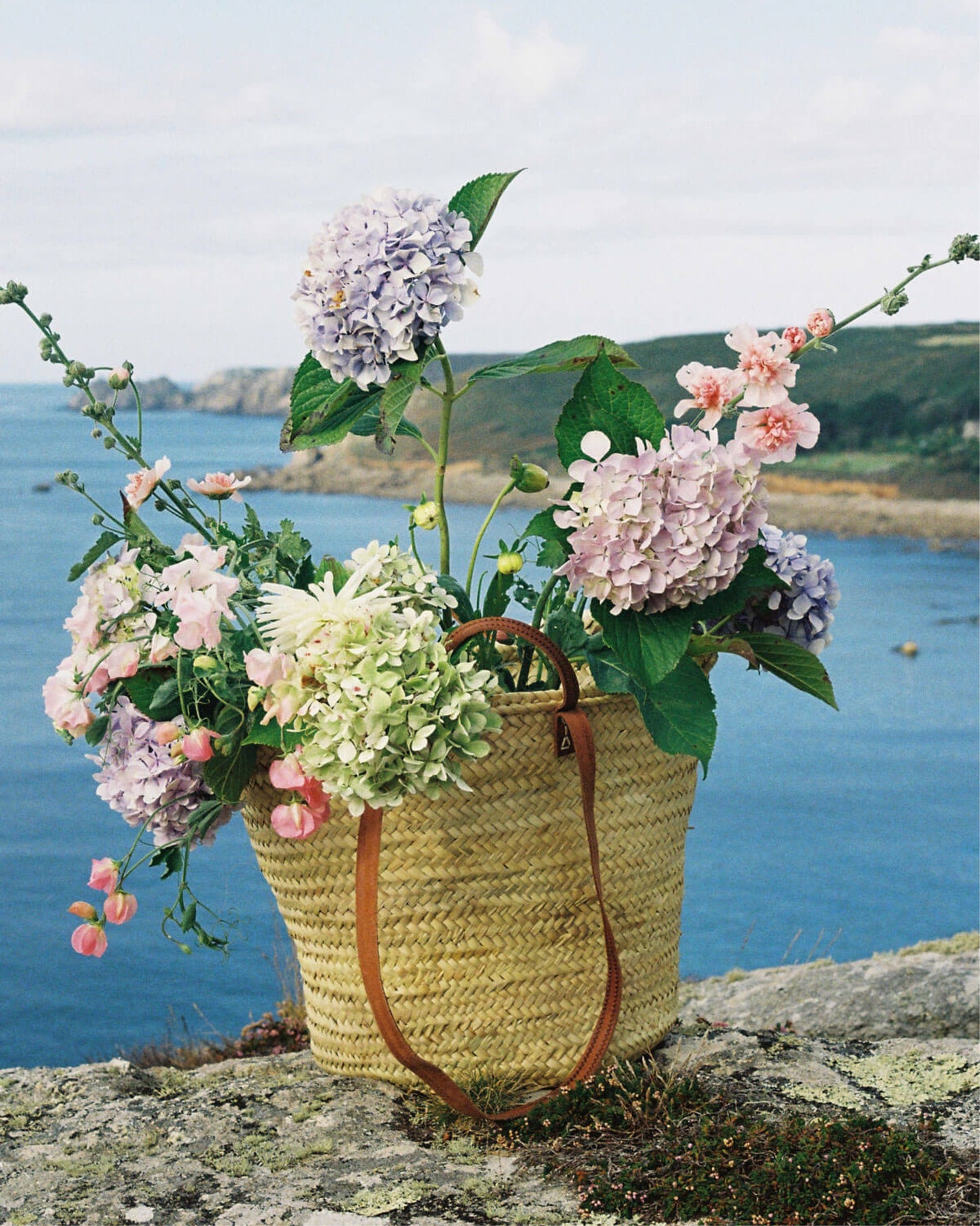 PARISIENNE SHOPPER BASKETS